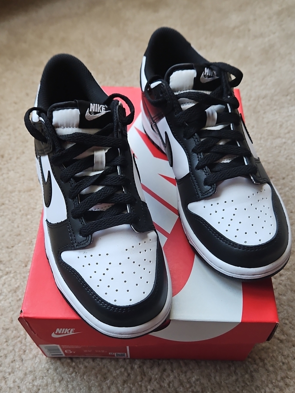 Nike Dunk Low (GS)